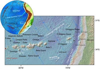 40Ar/39Ar Geochronological Constraints on the Age Progression Along the Juan Fernández Ridge, SE Pacific